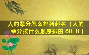 人的辈分怎么排列起名（人的辈分按什么顺序排的 🐝 ）